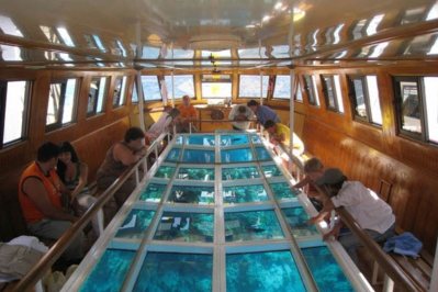 snorkeling tours sharm el sheikh