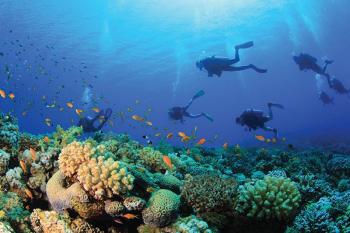 snorkeling tours sharm el sheikh