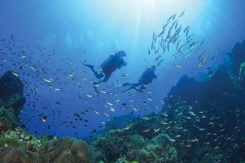 snorkeling tours sharm el sheikh