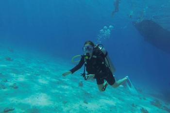 Hurghada tours diving in Hurghada dive in the dolphin house