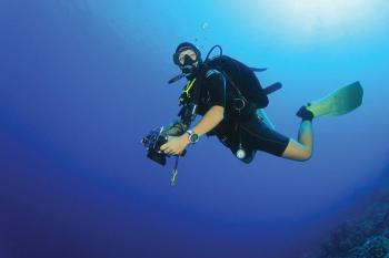 Hurghada tours diving in Hurghada dive in the dolphin house