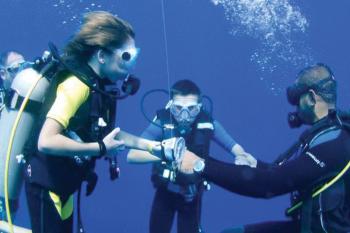 Hurghada tours diving in Hurghada dive in the dolphin house dive in hurghada