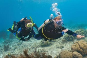 Hurghada tours diving in Hurghada dive in the dolphin house